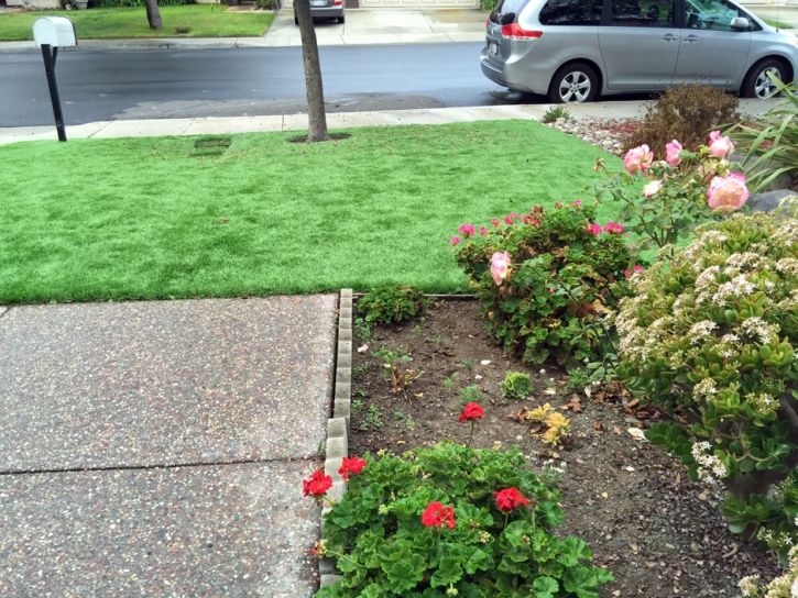 Lawn Services Signal Hill, California Design Ideas, Small Front Yard Landscaping