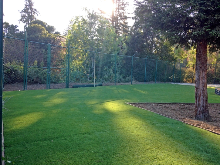 Lawn Services West Rancho Dominguez, California Gardeners, Recreational Areas