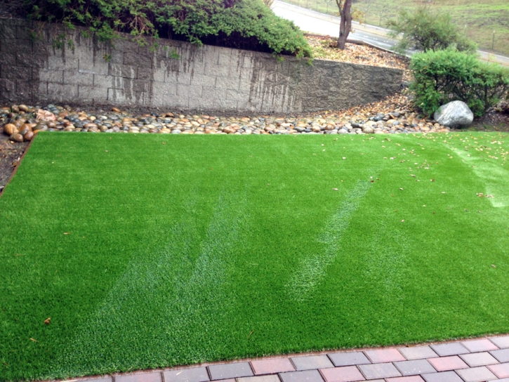 Outdoor Carpet Bodfish, California Dog Grass, Beautiful Backyards