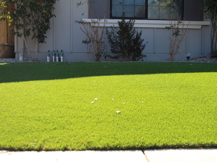 Outdoor Carpet Bonsall, California Lawns, Small Front Yard Landscaping