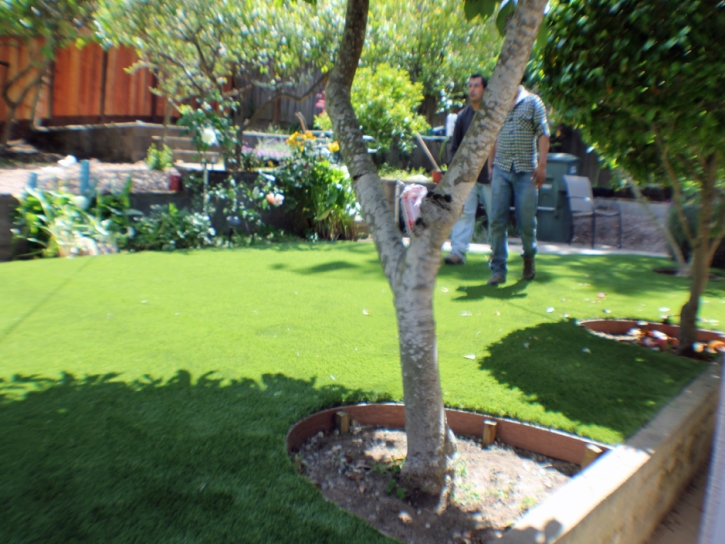 Outdoor Carpet Colton, California Paver Patio, Backyard Designs