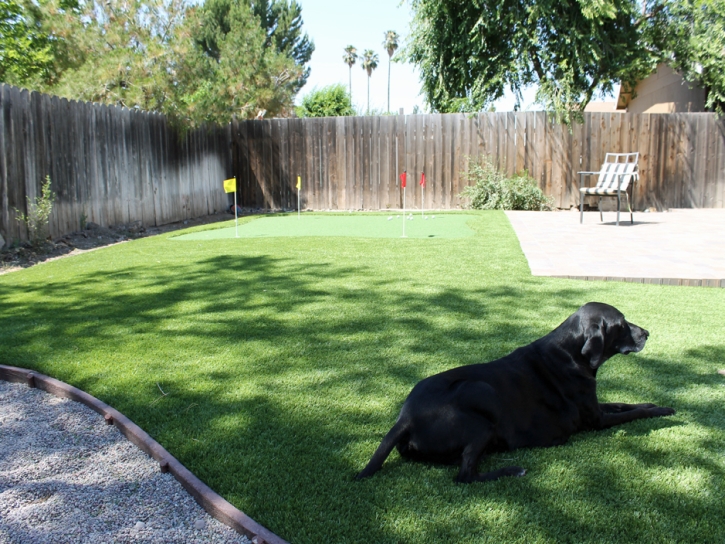 Outdoor Carpet Nuevo, California Drainage, Dogs