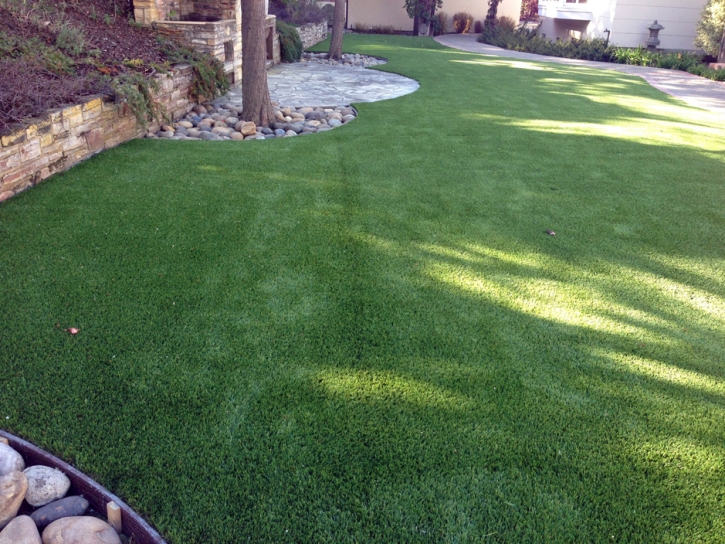 Plastic Grass Greenacres, California Landscape Photos, Backyard Designs