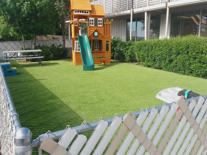 Plastic Grass Romoland, California Upper Playground, Backyard Landscaping Ideas