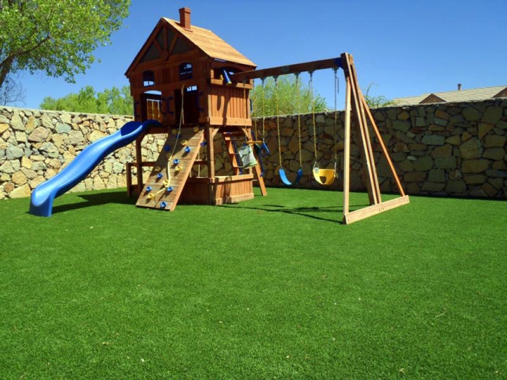 Plastic Grass Sherman Oaks, California Landscape Photos, Backyard Designs