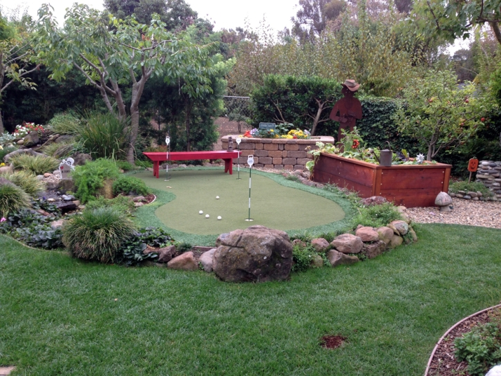 Plastic Grass Squirrel Mountain Valley, California Backyard Deck Ideas, Small Backyard Ideas