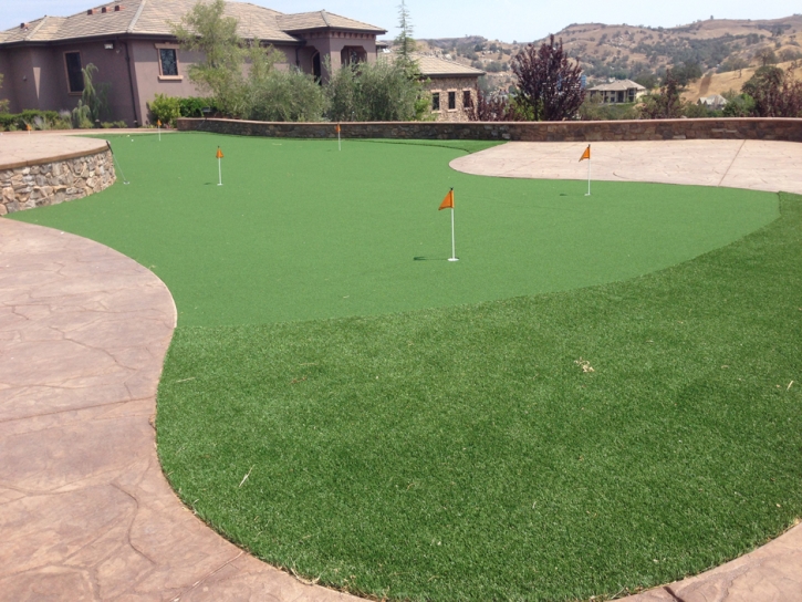 Plastic Grass View Park-Windsor Hills, California Backyard Deck Ideas