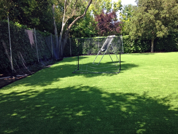 Synthetic Grass Bonsall, California Lawns, Backyard Design