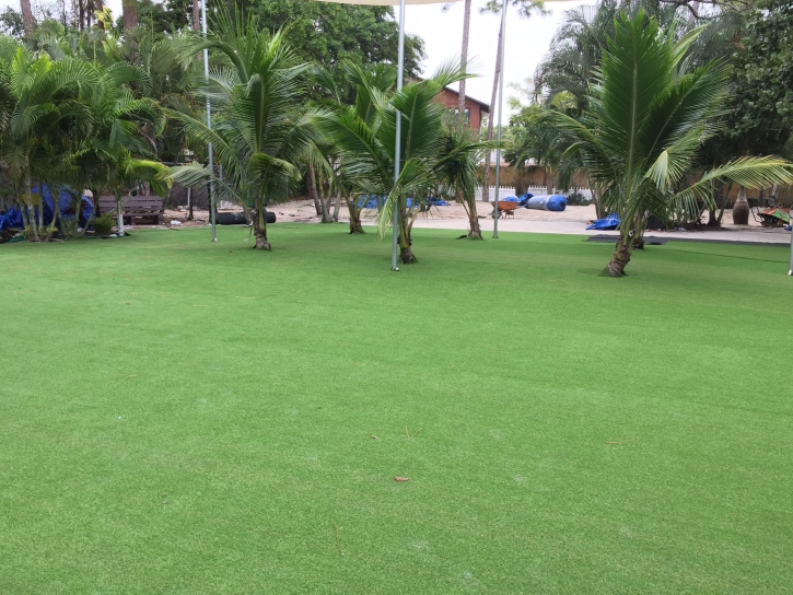 Synthetic Grass Cost San Fernando, California Backyard Deck Ideas, Commercial Landscape