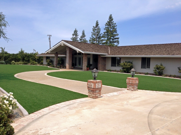 Synthetic Grass Grand Terrace, California Home And Garden, Front Yard