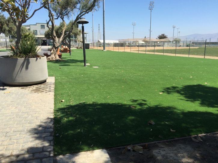 Synthetic Grass Oak Glen, California Lawn And Landscape, Parks