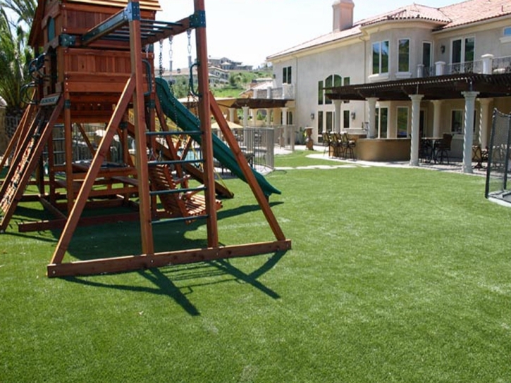 Synthetic Grass Placentia, California Athletic Playground, Backyard Design