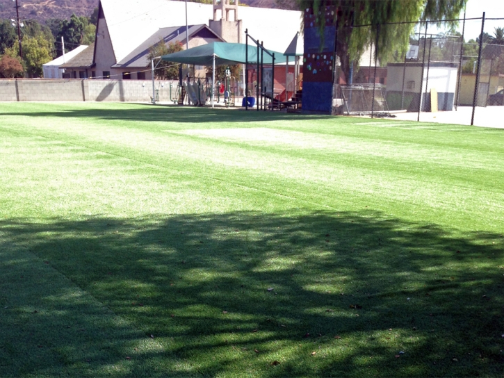 Synthetic Lawn Fellows, California Landscaping Business, Parks