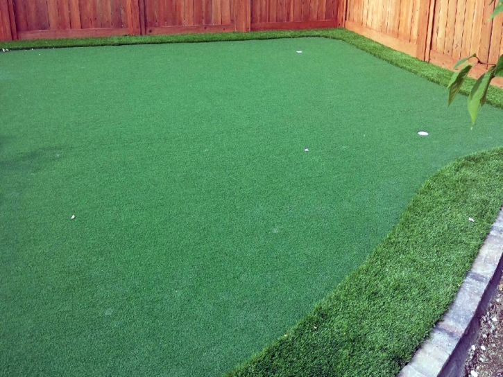 Synthetic Lawn Huntington Beach, California Home And Garden, Backyards