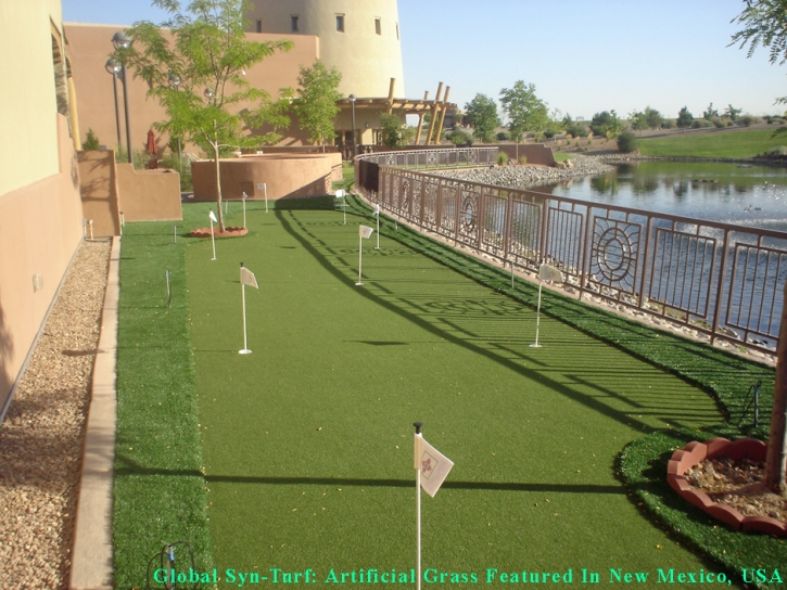Synthetic Lawn , Landscaping Business, Beautiful Backyards