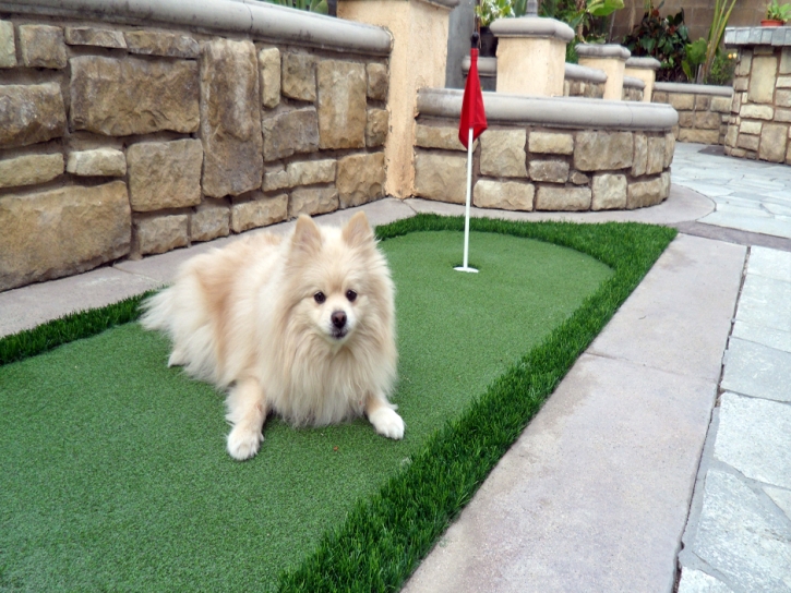 Synthetic Lawn Murrieta, California Home Putting Green, Backyard Ideas