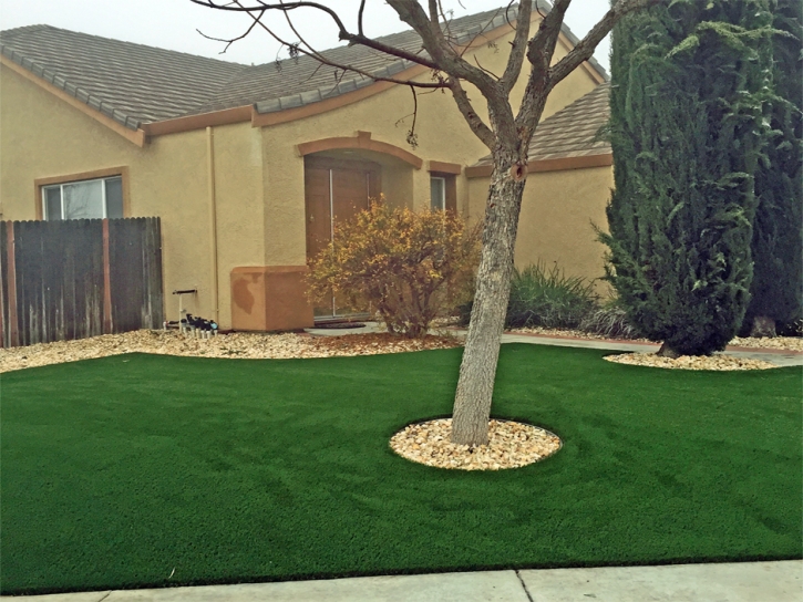 Synthetic Turf Glendale, California Home And Garden, Front Yard Landscaping