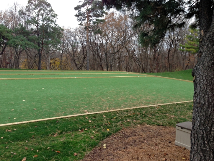 Synthetic Turf Panorama Heights, California Landscape Photos