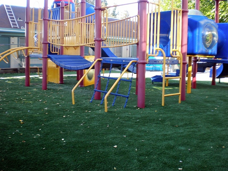 Synthetic Turf South San Jose Hills, California Playground, Commercial Landscape