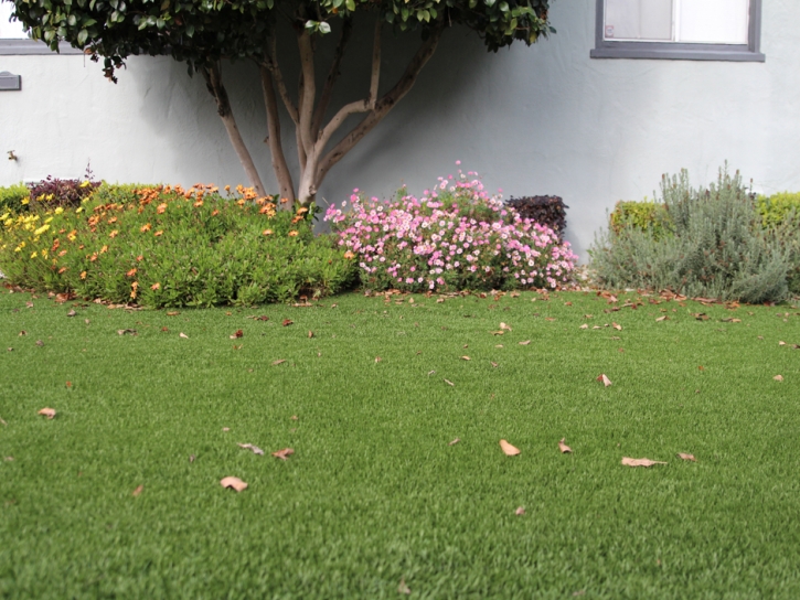 Synthetic Turf Supplier Ladera Heights, California Home And Garden, Front Yard Landscaping