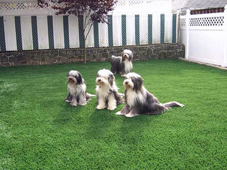 Synthetic Turf Supplier Potrero, California Backyard Deck Ideas, Backyard Designs