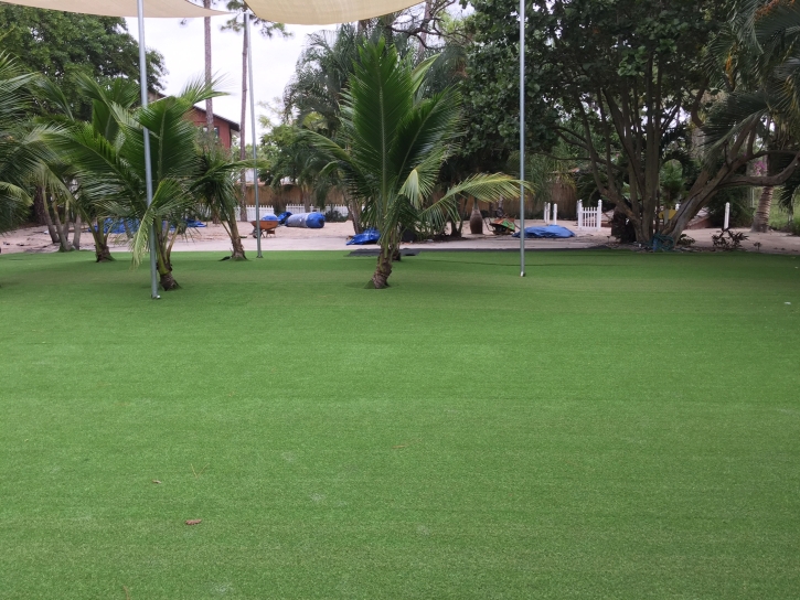 Synthetic Turf Supplier Sherman Oaks, California Landscaping, Commercial Landscape