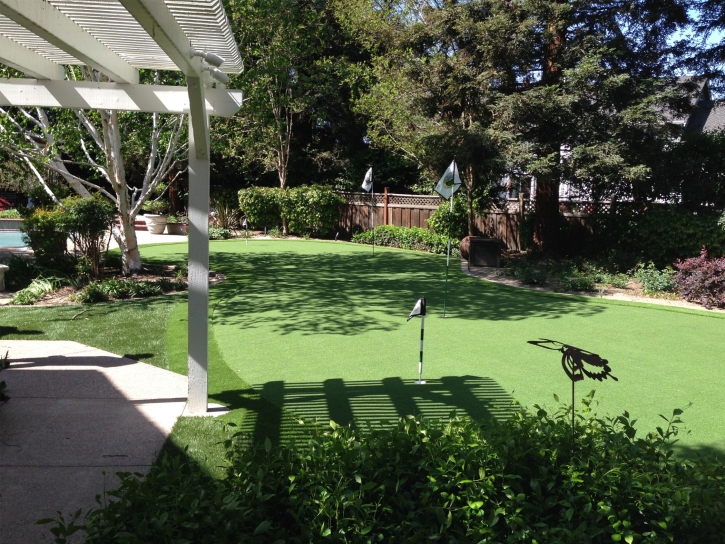 Turf Grass Crestline, California Garden Ideas