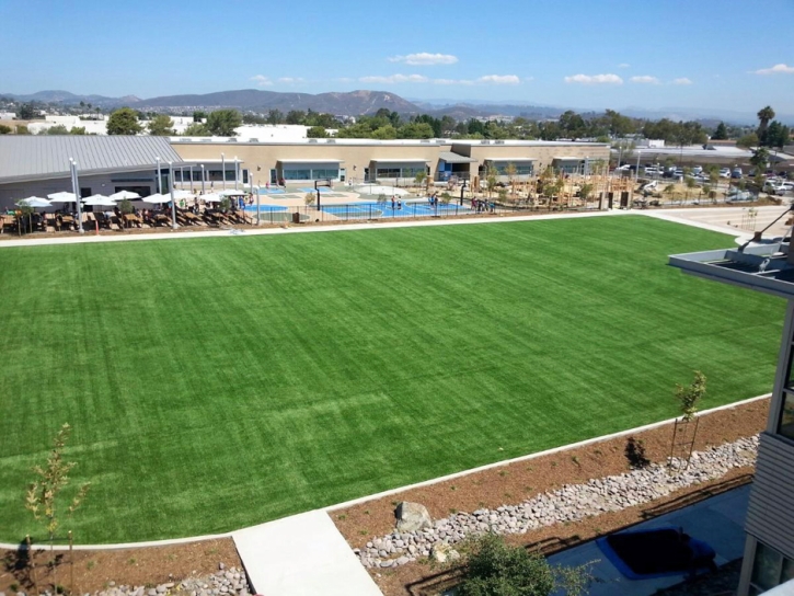 Turf Grass San Antonio Heights, California Backyard Soccer, Commercial Landscape